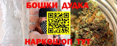 прущие крисы Кингисепп