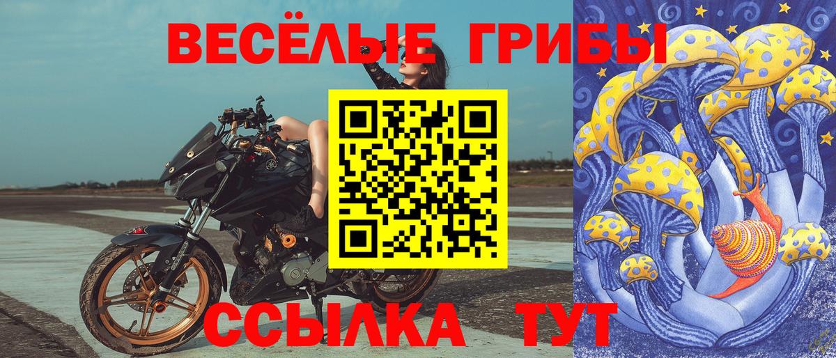 Галлюциногенные грибы Psilocybine cubensis  Псилоцибиновые грибы Psilocybe  Биробиджан  Вход с VPN 